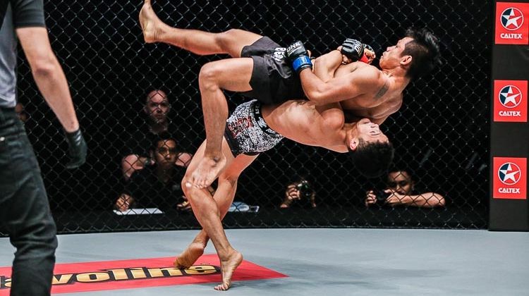 A Breakdown Of The Martial Arts Used In MMA